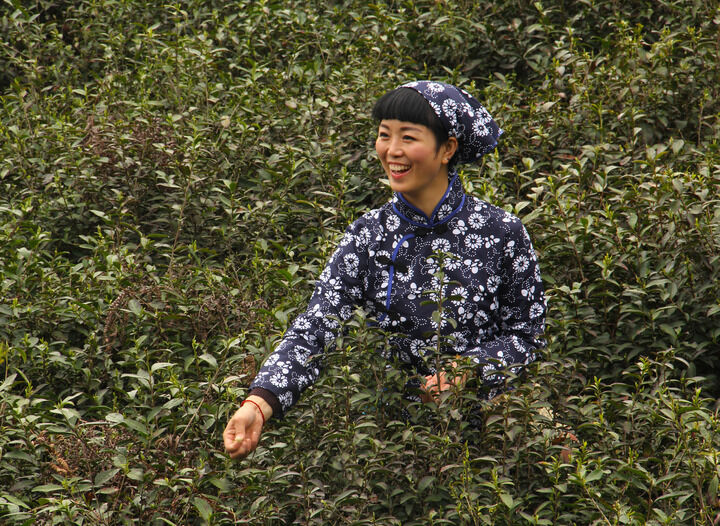 长眠不醒